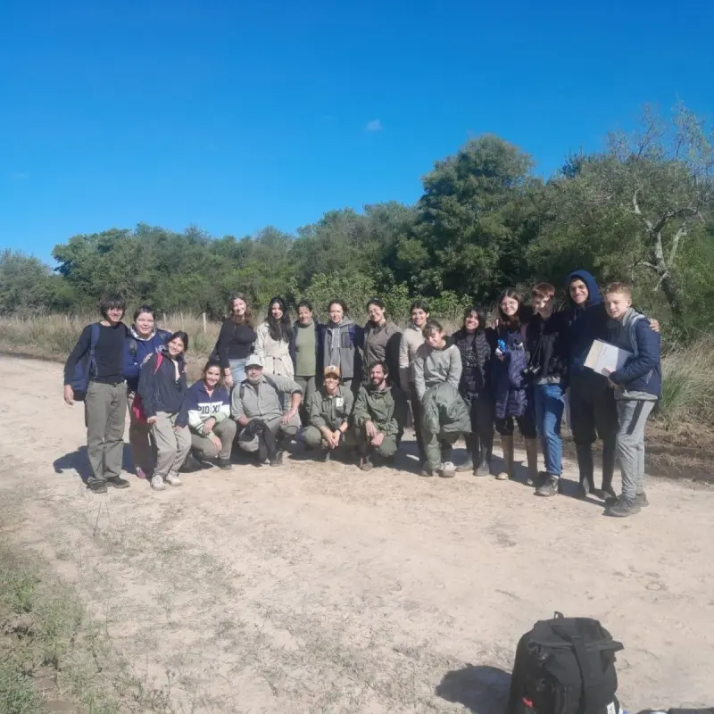 Colaboradores
