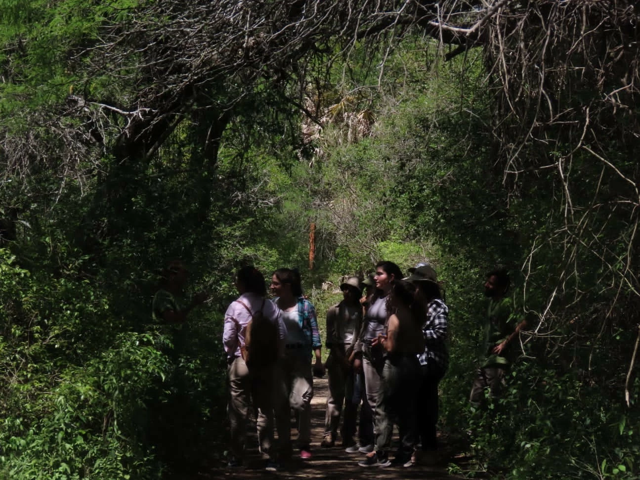 Actividad de investigación en la estación
