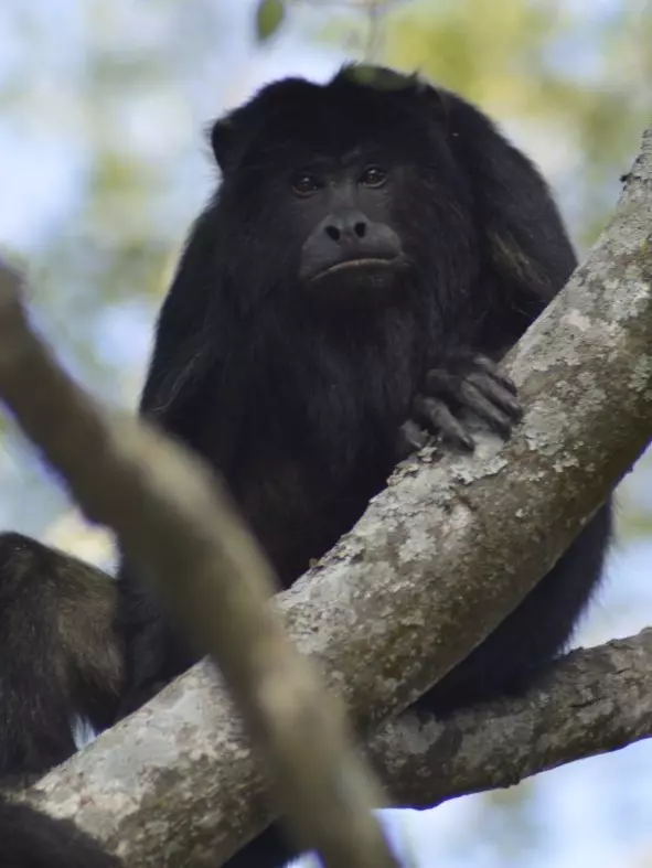 Estación Biológica Corrientes