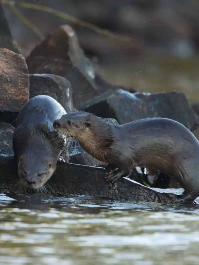 Estación Biológica Corrientes